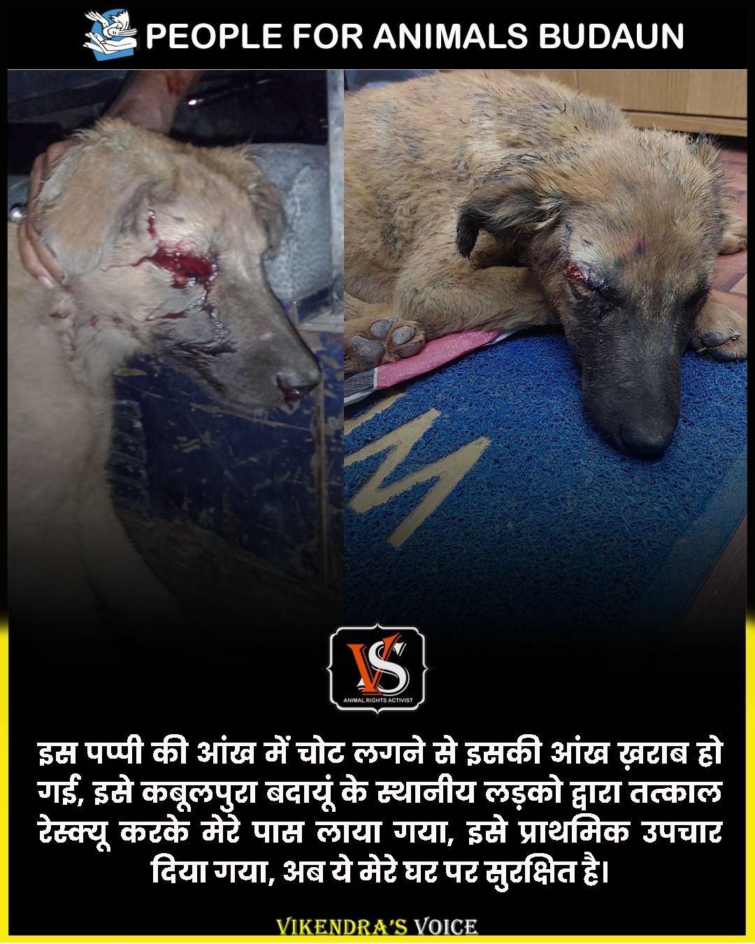 People For Animals Budaun